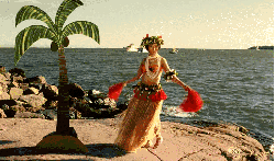 夏威夷 日剧 海边 海鸥食堂 片桐入 绿 草裙舞 跳舞 棕榈树
