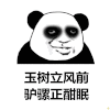 玉树临风前 金馆长 黑眼圈 熊猫头