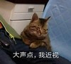 萌宠 猫星人 大点声 我近视 呆萌 可爱