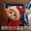 萌宠 猫星人 能和你过圣诞吗 好奇 呆萌 可爱
