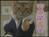 卖萌 猫咪 老子萌不萌