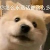 萌宠 猫星人 你怎么永远话都那么多 好奇 呆萌 可爱