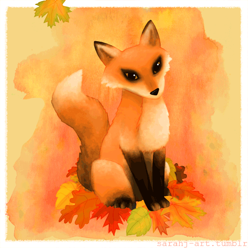 秋天 季节 狐狸 落叶