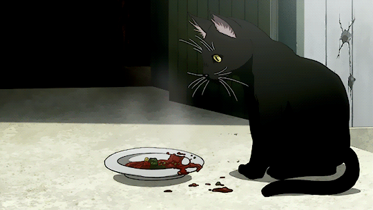 动漫 黑猫 盘子 惊吓血渍