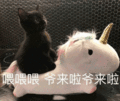沙雕猫 猫咪 猫 可爱猫 猫表情包 猫咪表情包 小猫