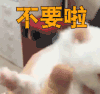 不要啦 卖萌 soogif soogif出品