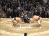 碉堡 霸气