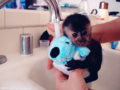 猴子 可爱 洗澡 宝宝