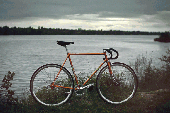 湖边 自行车 自然 美景