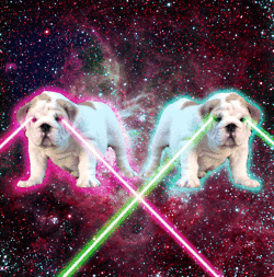 激光 laser 狗狗 ps