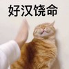 萌宠 猫星人 好汉饶命 无奈 呆萌 可爱