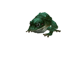大舌头 绿色 青蛙 眼睛