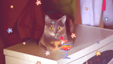 不渴 什锦水果味的猫 喝一口 基蒂萨满