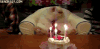 生日 生日快乐 猫 蛋糕