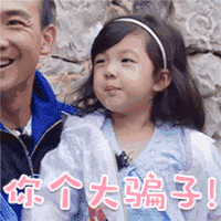 你这个大骗子 搞笑 开心 小女孩