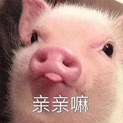 噘嘴GIF表情图_噘嘴动态护士销魂表情包动态被_噘嘴GIF动图-SOO图片