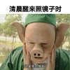 猪八戒 八戒 搞怪 照镜子 是我本人没错 恶搞