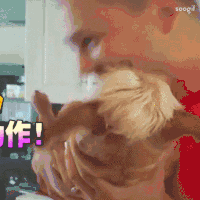 男子 狗狗 亲吻 作