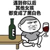金馆长 红酒 遇到你以后 其他女孩 都变成了黑白色