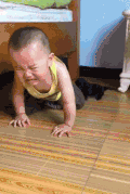 萌娃 爬 搞笑 狗狗