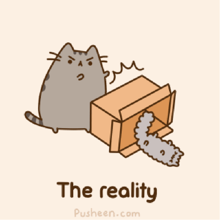 大猫 纸盒 小猫 摔倒