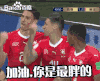 2018世界杯 俄罗斯世界杯 大力神杯 FIFA 世界杯 瑞士 加油，你是最胖的