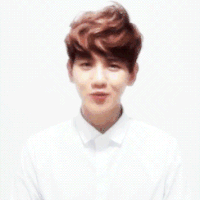 exo exok 边伯贤 亲爱的
