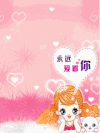 海贼王 壁纸 娜美 猫咪 可爱 呆萌