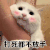 萌宠 猫星人 打死都不放手 你不能走 呆萌 可爱