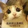 猫咪 我的师父是帅比 得瑟 恶搞