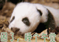 困了睡个午觉
