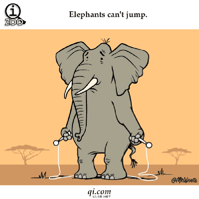 大象 跳绳 搞笑 大型