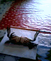 螃蟹 搞笑 举重 锻炼