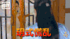 楚乔传 林更新 赵丽颖
