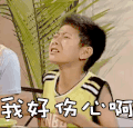 soogif soogif出品 家有儿女 刘星 张一山 伤心 捶胸