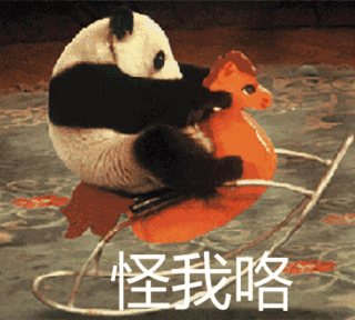 熊猫 玩耍 可爱 国宝 怪我咯