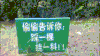 太狠了 欢乐 挂科 踩一颗