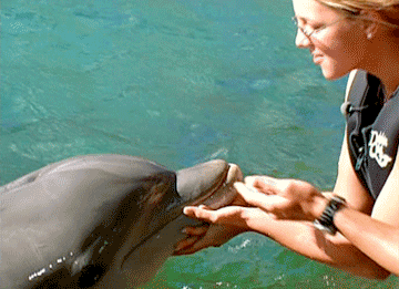 海豚 dolphin 布兰妮·斯皮尔斯 亲吻