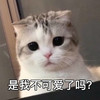 萌宠 猫星人 是我不可爱了吗 无辜 可怜 呆萌 可爱
