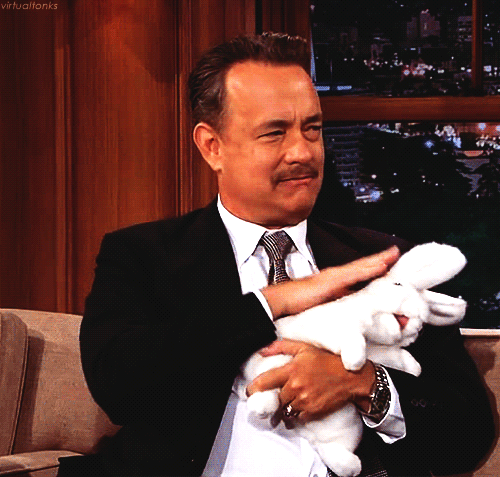 兔子 脱口秀 抚摸 汤姆汉克斯 Tom+Hanks