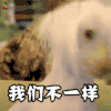 我们不一样 soogif soogif出品