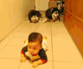 萌娃 狗狗 搞笑 爬行