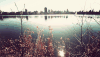 湖水 都市 树木 风景