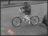 猴子 骑车 技术好 西装 马路 戴帽子