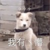 萌宠 汪星人 我有点懵 咋了 搞怪 逗