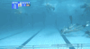 游泳 水下运动 swimming sports