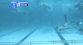 游泳 水下运动 swimming sports