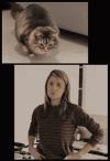 小猫 对比 搞笑 女人