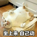 喵星人 猫咪 可爱 搞笑 坐上累自己动