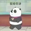 三只小贱熊 我给你讲 斗图 搞笑 可爱 呆萌